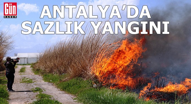 Antalya da sazlık yangını, güçlükle söndürüldü