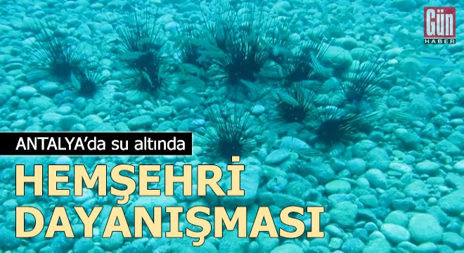 Antalya da su altında ‘hemşehri dayanışması’
