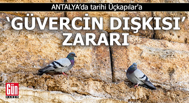 Antalya da tarihi Üçkapılar a  güvercin dışkısı  zararı