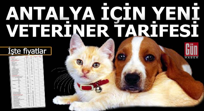 Antalya da veterinerlerin yeni tarifesi belli oldu