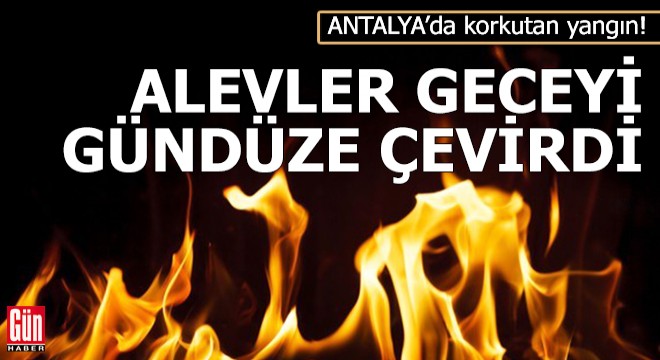 Antalya da yangın geceyi gündüze çevirdi