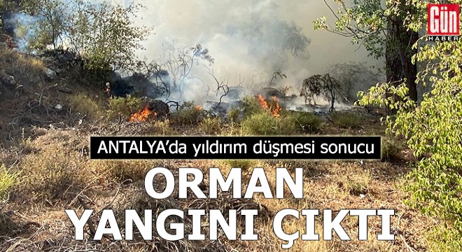 Antalya da yıldırım düşmesi sonucu orman yangını çıktı