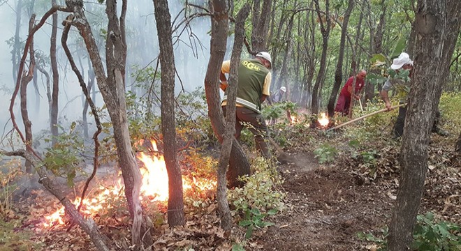 Antalya dahil 6 orman yangını kontrol altında