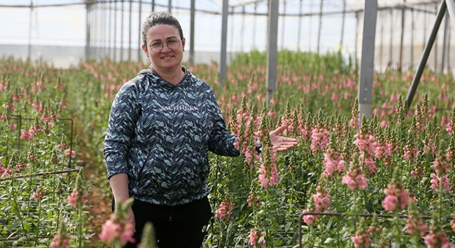 Antalya'dan Avrupa'ya yeni çiçek: Aslanağzı