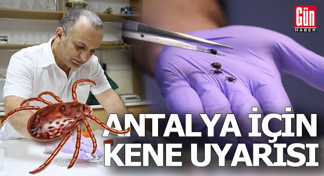 Antalya için kene uyarısı yapıldı