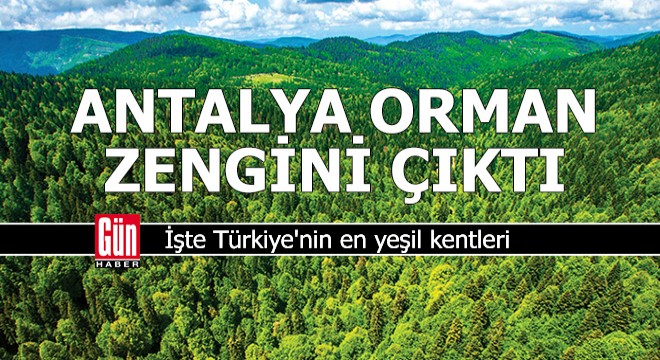 Antalya orman zengini çıktı