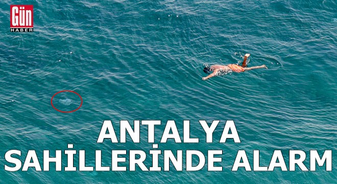 Antalya sahillerinde alarm!