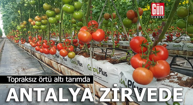 Antalya topraksız örtü altı tarımda da zirvede