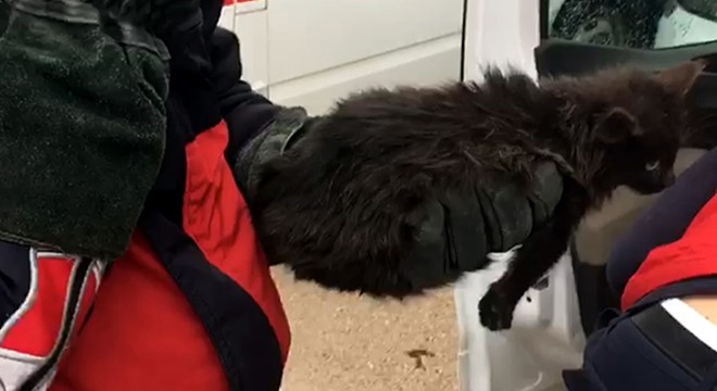 Araç içerisine sıkışan kediyi itfaiye kurtardı