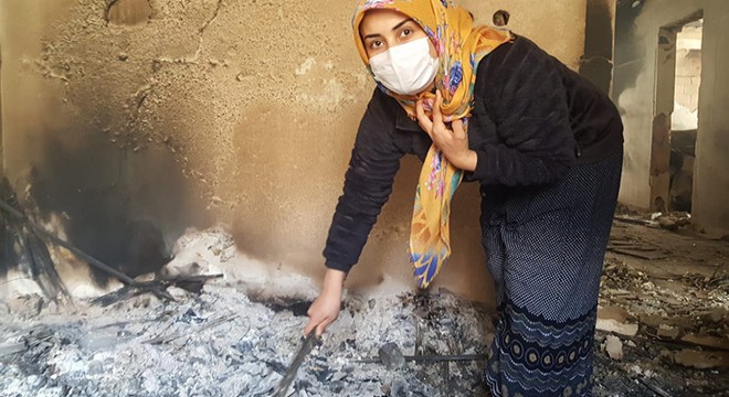 Artvin’de yanan köyde yangının izleri silinmeye çalışılıyor