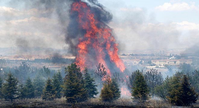 Atatürk Orman Çiftliği ndeki yangın soruşturmasında jet iddianame