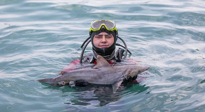 Atıl durumdaki ağlara takılan köpek balığı yavrusu öldü