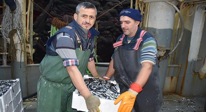 Balıkçılar, hamsi avının serbest olduğu İğneada ya akın etti