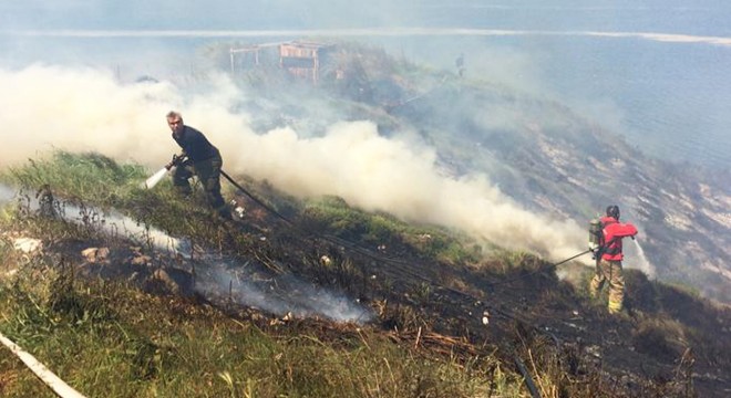 Bandırma da 1,5 hektarlık makilik alan yangında zarar gördü