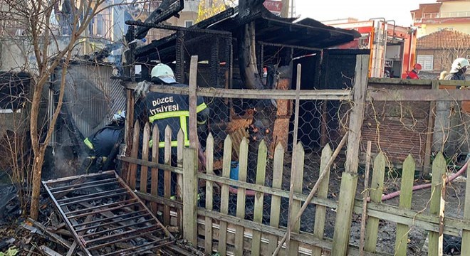 Barakada yangın çıktı; 11 yavru köpek öldü