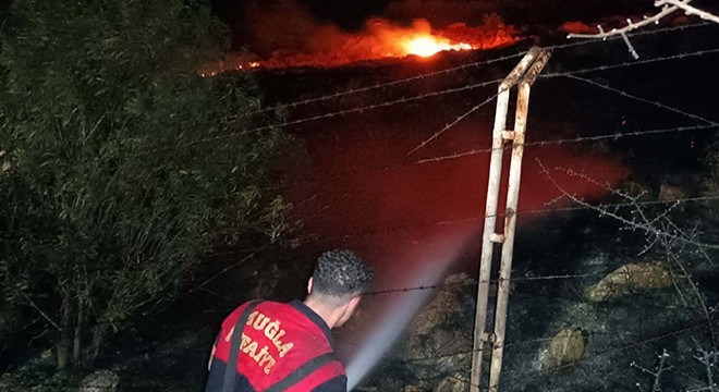 Bodrum da maki yangınında 15 dönüm alan zarar gördü