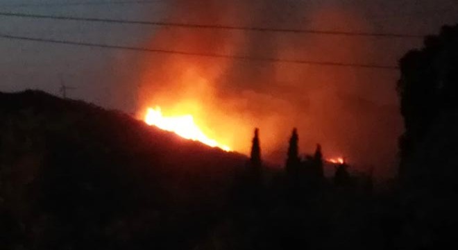 Bodrum da makilik alanda yangın