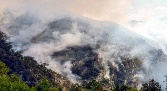 Bolu daki orman yangını 3 üncü gününde