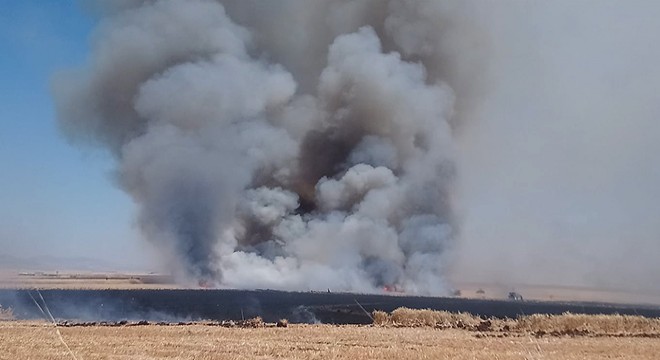 Buğday ekili 250 dönüm alanda yangın