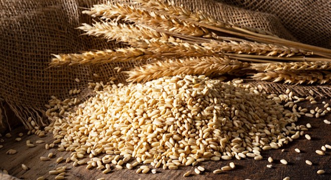 Buğday ithalatında değişiklik