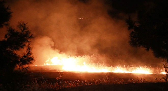 Burdur Gölü ndeki sazlık yangınlarıyla ilgili suç duyurusu
