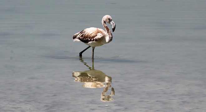 Burdur Gölü’ndeki tuzluluk oranı, 2040 ta deniz suyunun tuzluluk oranına ulaşacak
