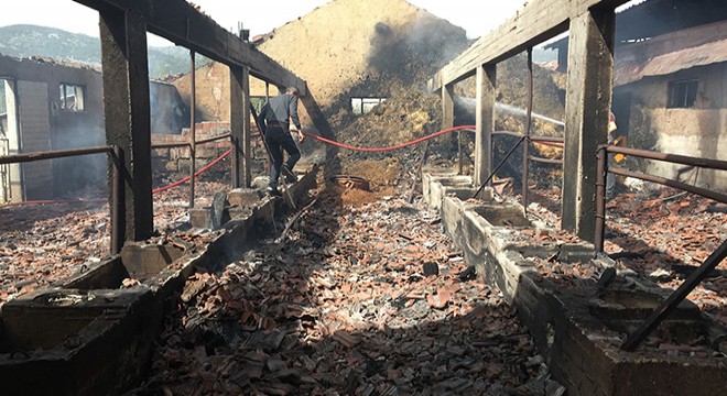 Burdur'da ev ve samanlık yangını