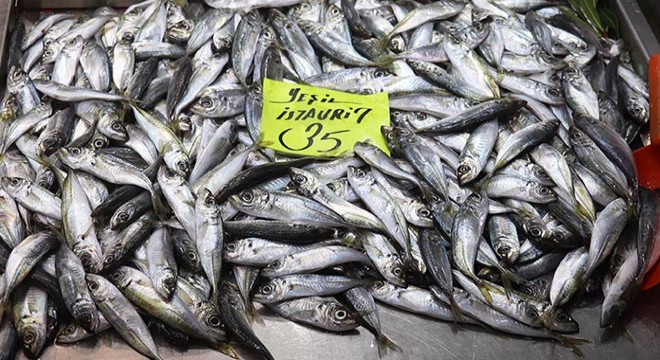 Çanakkale de etkili olan fırtına balık fiyatlarına olumsuz yansıdı