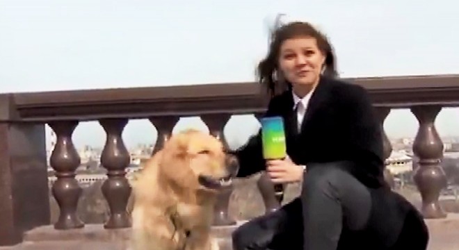 Canlı yayın sırasında mikrofonunu kapıp kaçan köpeği kovaladı