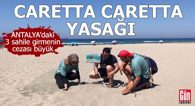 Caretta caretta yasağı; 3 sahile girmenin cezası büyük
