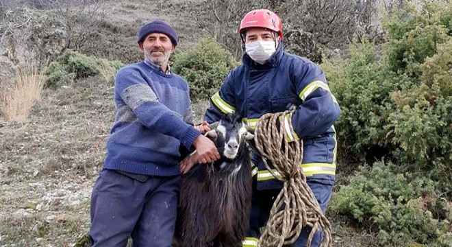 Çıktığı kayadan inemeyen keçiyi itfaiye kurtardı