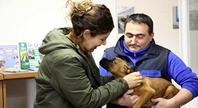 Depremzede çift, enkazdan kurtarılan köpeği sahiplendi