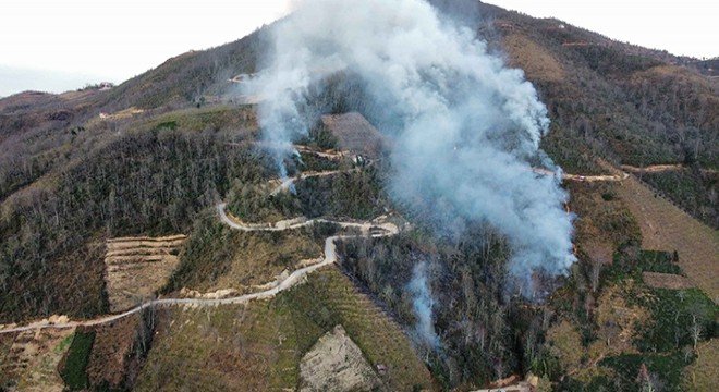 Doğu Karadeniz de 22 noktadaki örtü ve orman yangınları söndürüldü