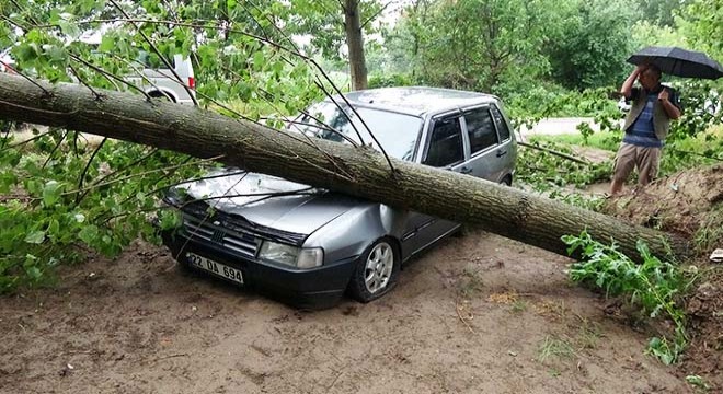 Edirne de şiddetli fırtına ağaçları devirdi