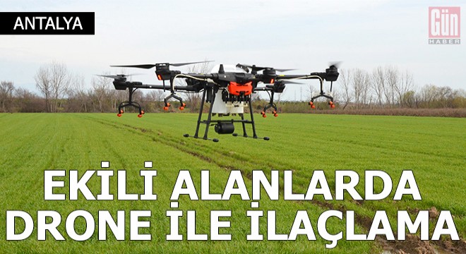 Ekili alanlarda drone ile ilaçlama