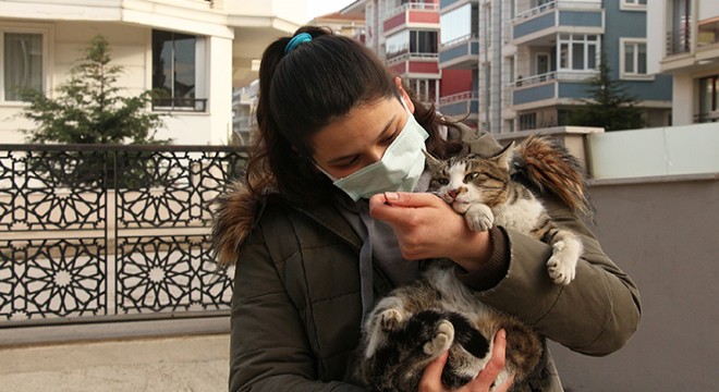 Elif, bağışlarla sokak kedilerini tedavi ettiriyor