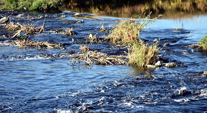 Ergene Nehri nin su kalitesi kimyasal oksitte 4 üncü sınıf çıktı