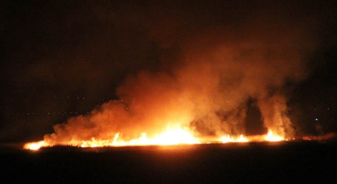 Erzincan da kuş cenneti alev alev yanıyor