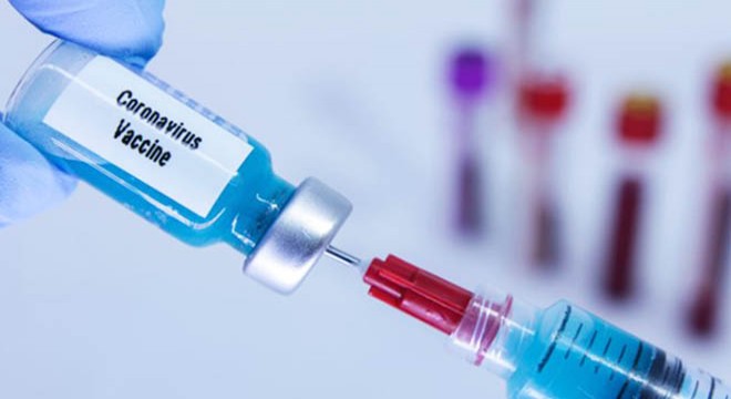 Eski Harvard profesörü : Aşı yakın zamanda bulunmayacak