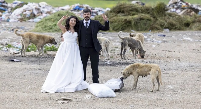Evlenen çift, nikah öncesi sokak hayvanlarını besledi