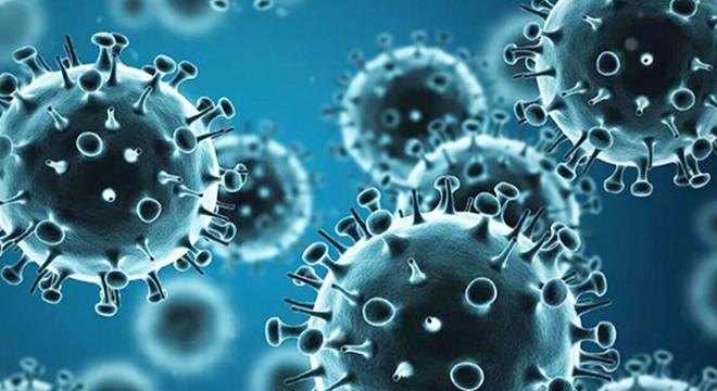 Fabrikada çalışan 43 işçide koronavirüs tespit edildi