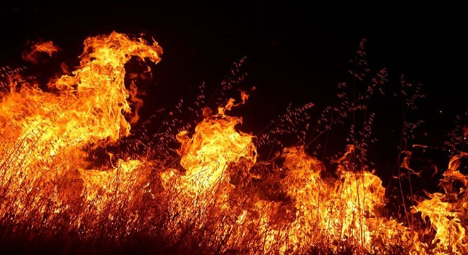 Fethiye de orman yangını