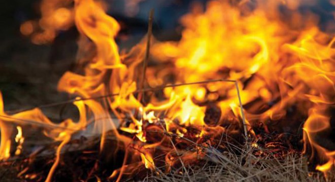 Fethiye deki orman yangını 6 saatte söndürüldü