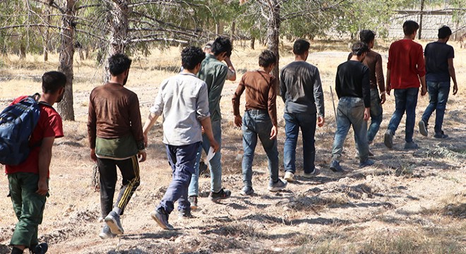 Fıstık bahçesinde saklanan 28 kaçak göçmen yakalandı