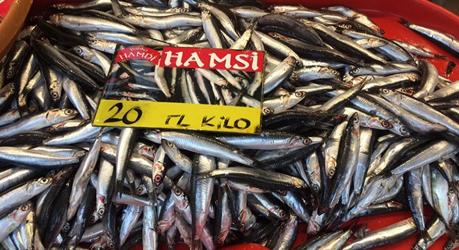 Fiyatı düşen hamsi, balık pazarının gözdesi