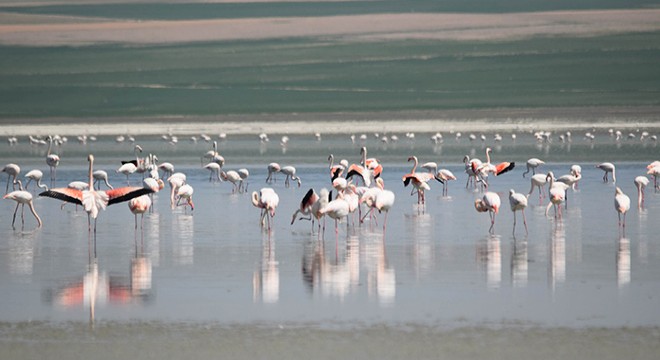 Flamingo cenneti Düden Gölü ile komşusu Küçük Göl kurudu