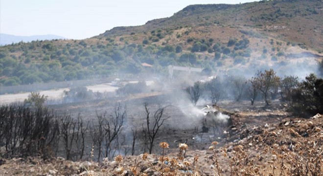 Foça da 2 hektar makilik alan yandı