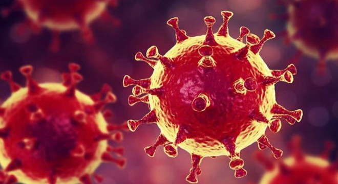 Gaziantep te 2 bin 598 kişiye koronavirüs cezası