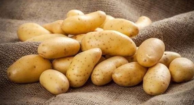 Patates üreticisi bu sezon umutlu