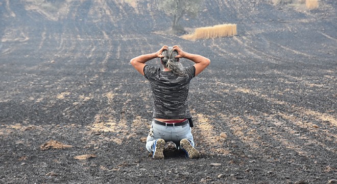Gelibolu da tarlaları yanan köylülerin üzüntüsü